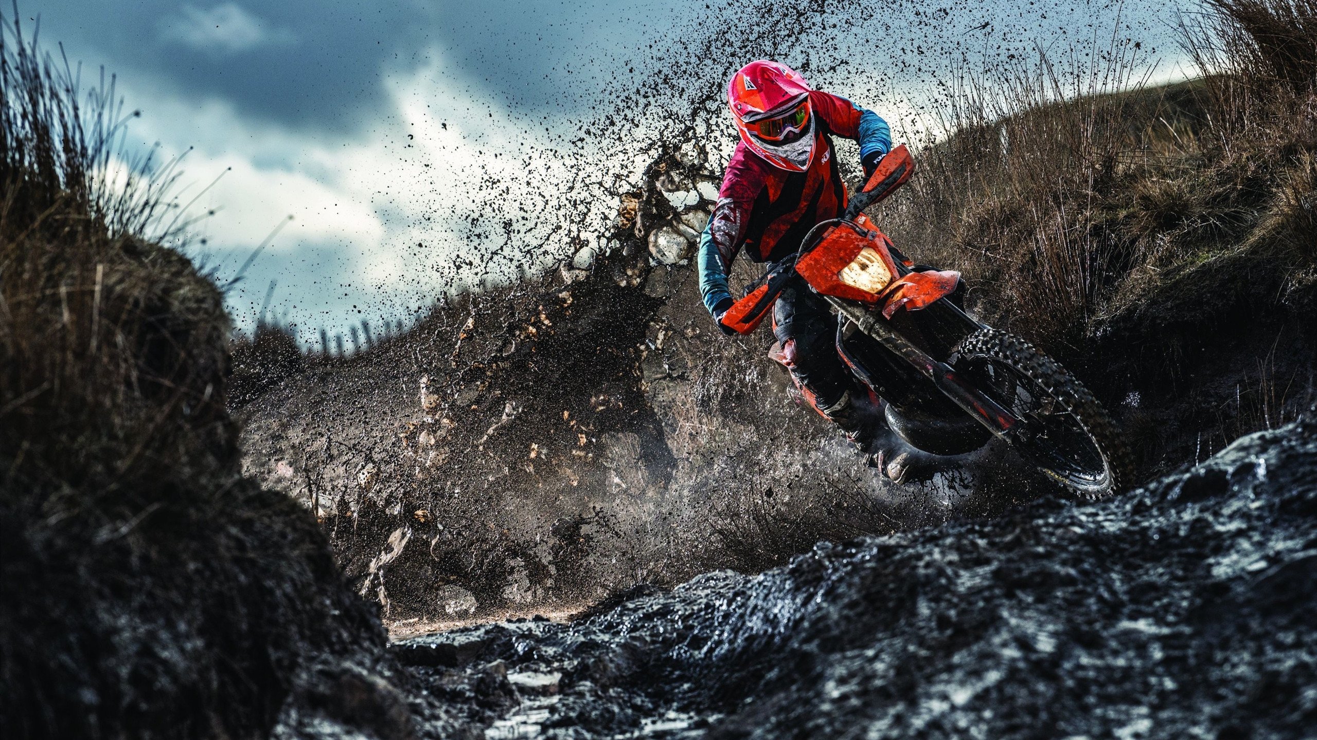 体育教育与科技融合实验课荣获教学创新奖，体育和教育融合